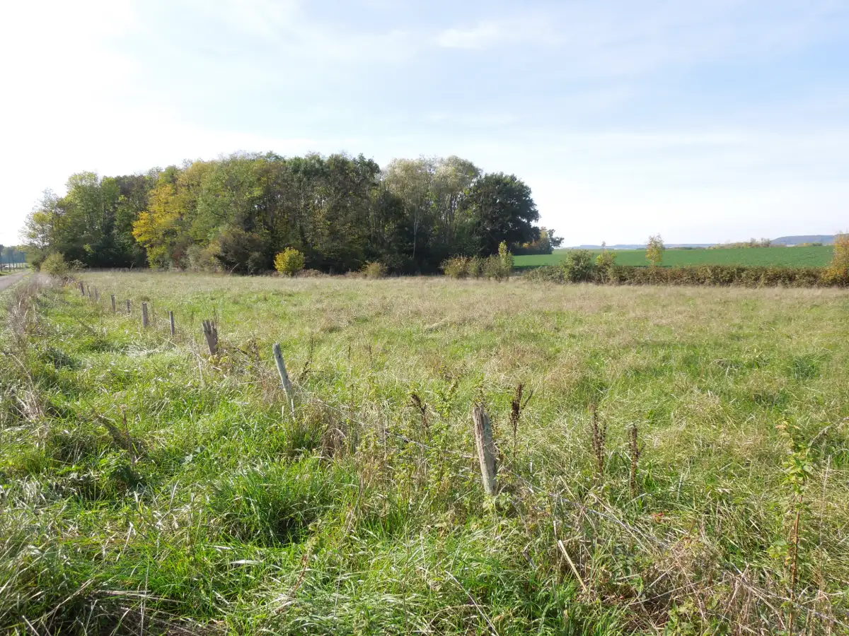 à 2 km d'Ervy-le-Châtel - beau TERRAIN plat de 5 140 m²