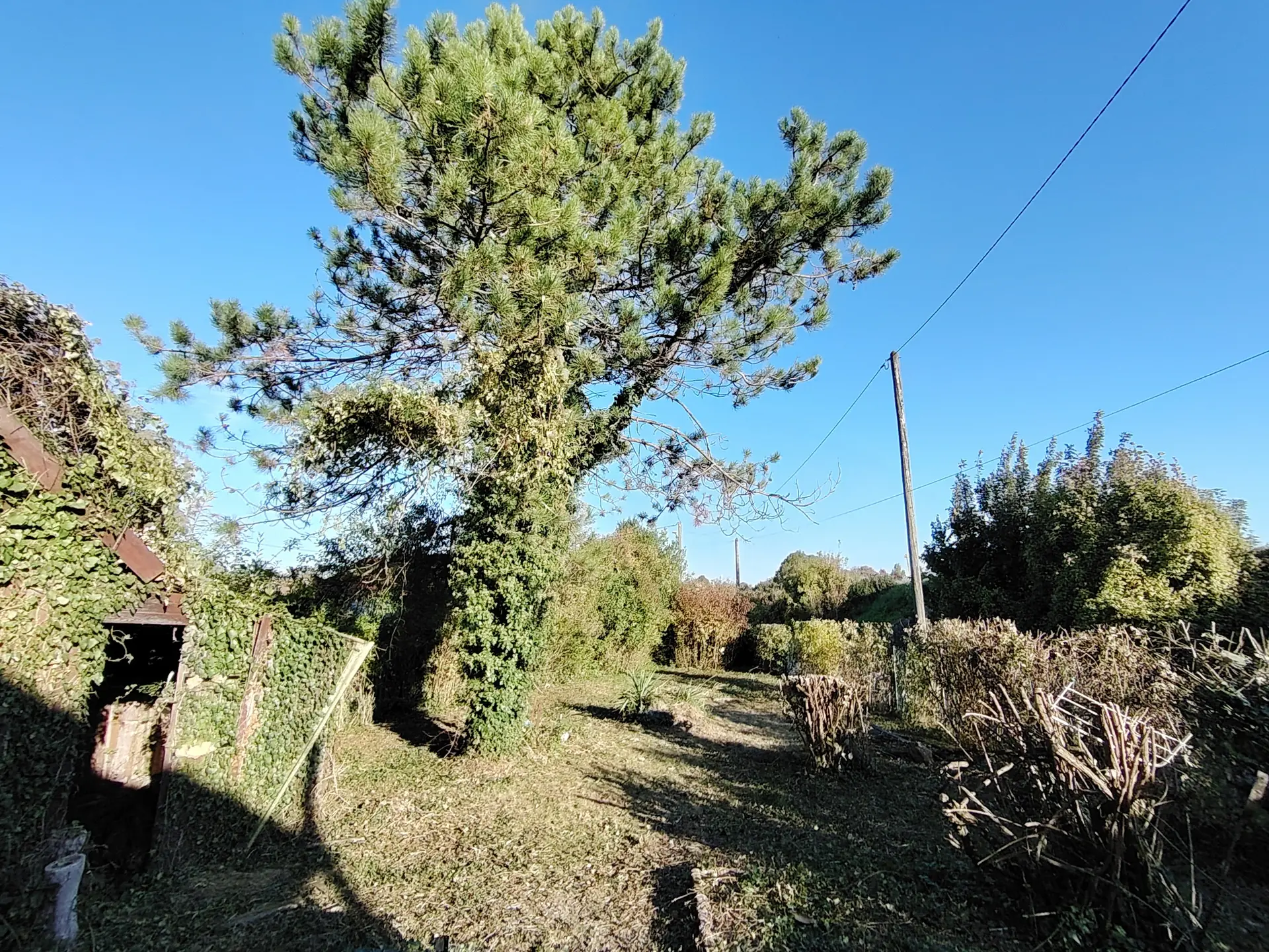 Châtres - MAISON à rénover - Image